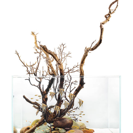 UNS Standard Rimless Aquarium