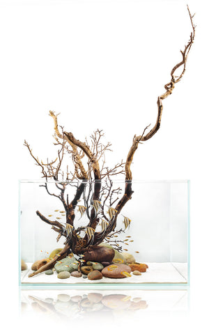 UNS Standard Rimless Aquarium