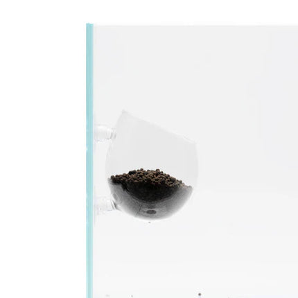 UNS Glass Cup