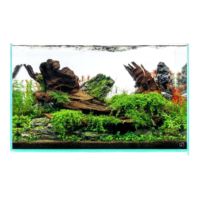 UNS Standard Rimless Aquarium