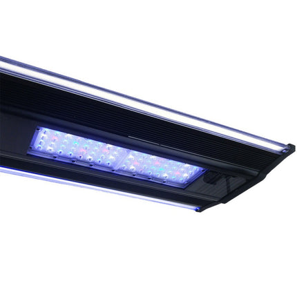 Zetlight Qmaven Q6-90 Marine LED