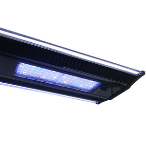 Zetlight Qmaven Q6-90 Marine LED