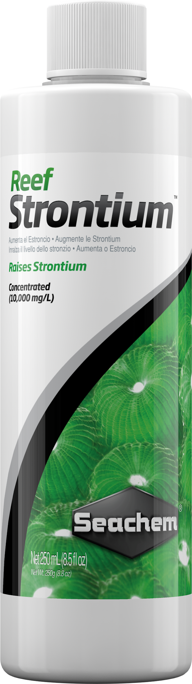 Reef Strontium