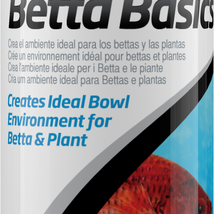 Betta Basics