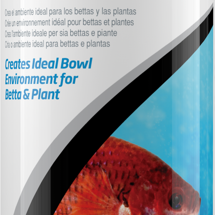 Betta Basics