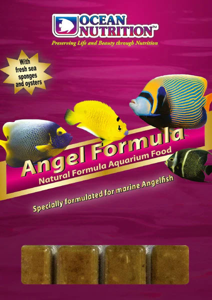 Angel Formula 100g