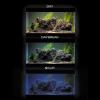 Aquael OPTI SET 240 Aquarium {Tank Only}