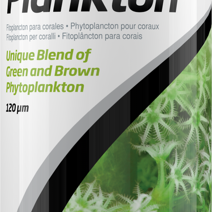 Phyto Plankton