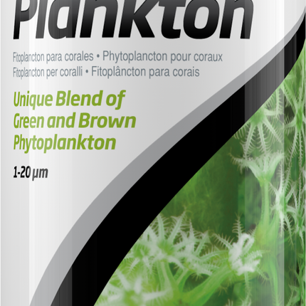 Phyto Plankton