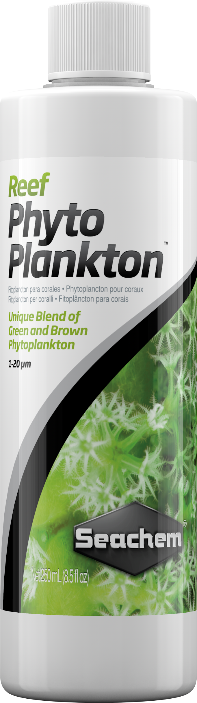 Phyto Plankton