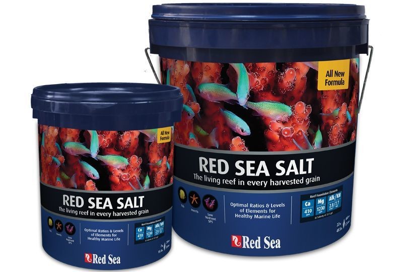 Red Sea Salt