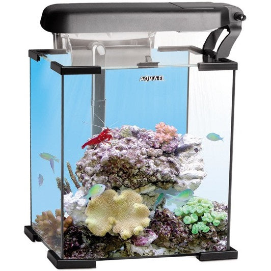 Aquael Nano Reef 30 Pets