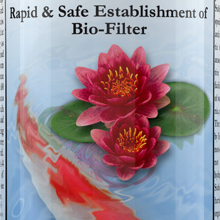 Pond Stability
