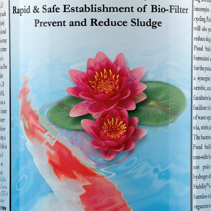 Pond Stability