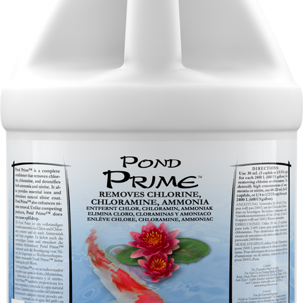 Pond Prime