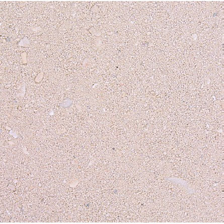 Dry Aragonite Suger Sized Sand