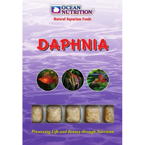 Daphnia