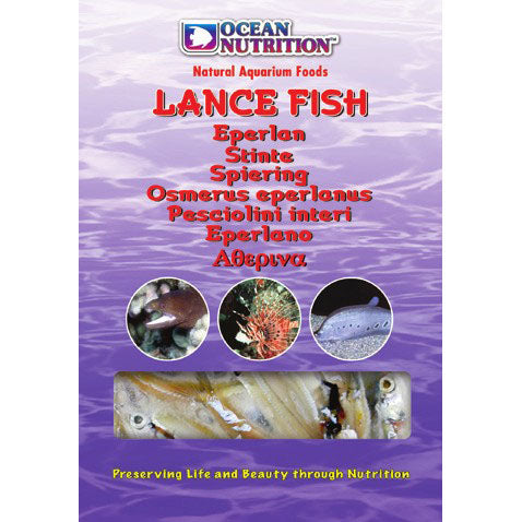 Lance Fish