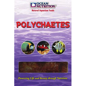 Polychaetes