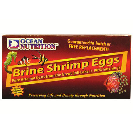 Brine Shrimp Eggs