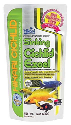 Sinking Cichlid Excel Mini