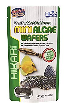 Mini Algae Wafers