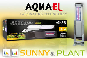 Leddy Slim DUO 10W Sunny & Plant