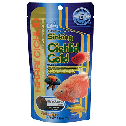 Cichlid Gold Sinking Mini