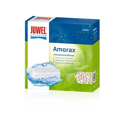 Juwel Amorax