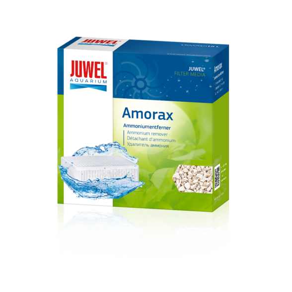 Juwel Amorax