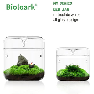 BIOLOARK GLASS DRIP JAR