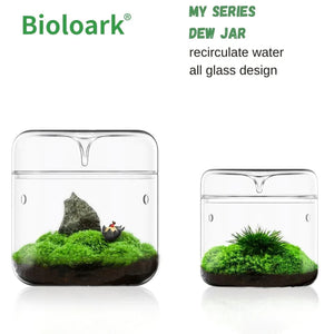 BIOLOARK GLASS DRIP JAR