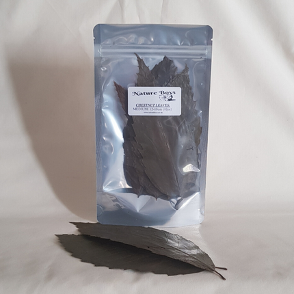 Nature Boys Chestnut Leaves