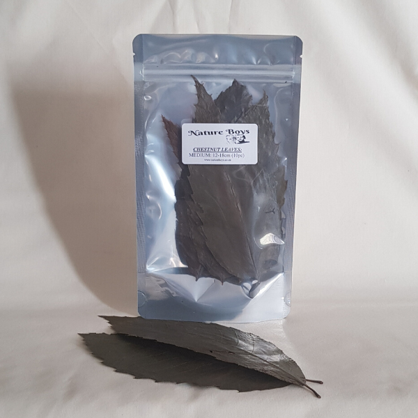 Nature Boys Chestnut Leaves