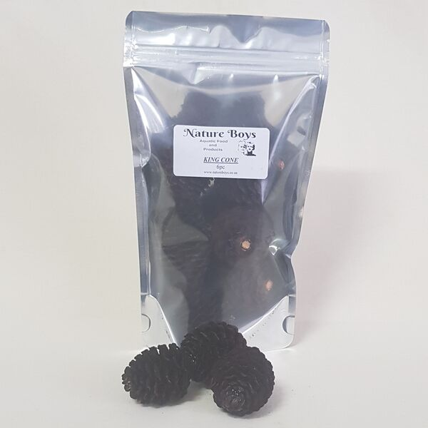Nature Boys King Cones 6pc