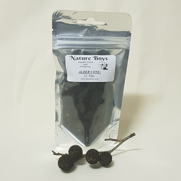 Nature Boys Alder Cones