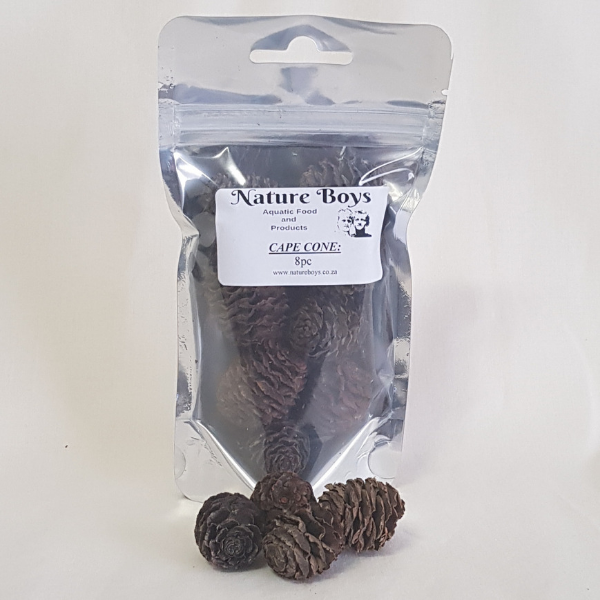 Nature Boys Cape Cones