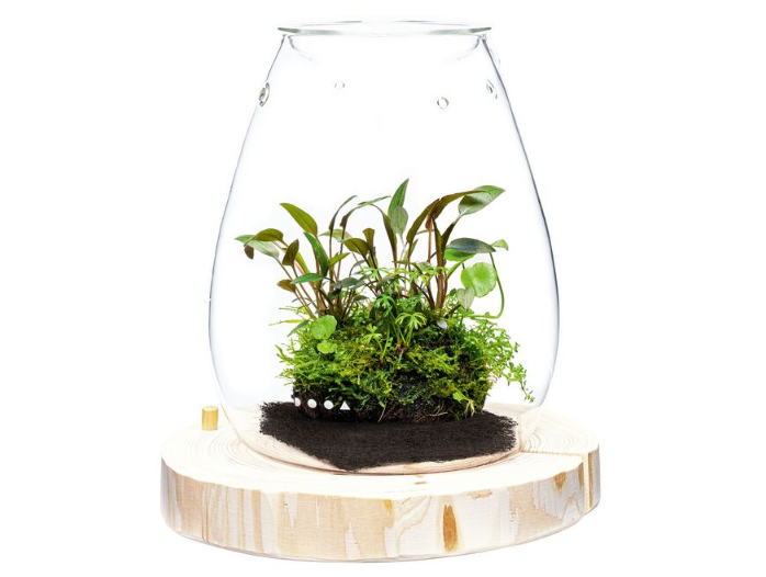 DOOA Glass Pot SHIZUKU