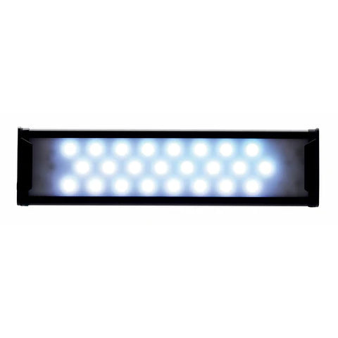 DOOA Paluda Light 30 (C plug) - LED light - Dorry Pets