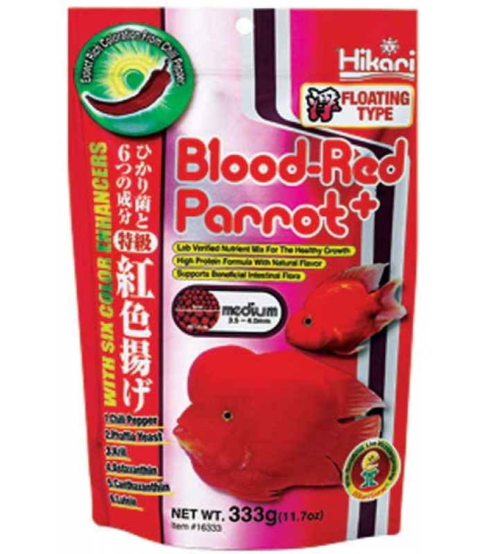Blood Red Parrot Medium