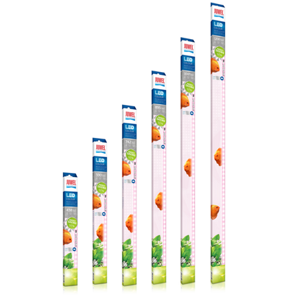 Juwel Multilux LED Colour