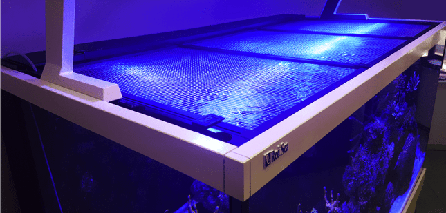 Tank Net Screen 36"/90cm [Incl. 1 Univeral cut out]