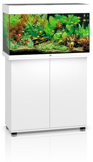 Juwel Rio {Tank&Cabinet}