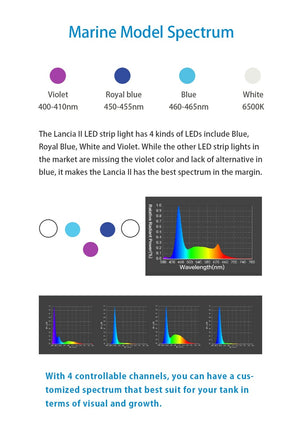 Zetlight Lancia 2 LED Light Units