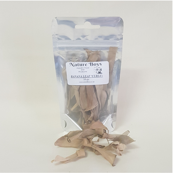 Nature Boys Banana Leaf Curls