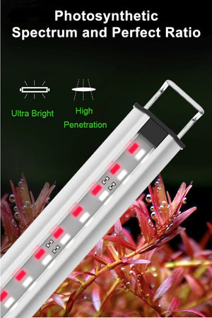 Zetlight Marine Space MS Series LED Light Freshwater Planted