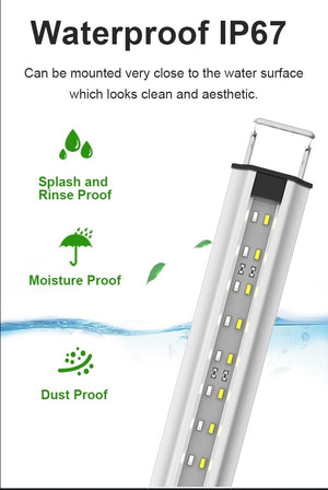 Zetlight Marine Space MS Series LED Light Freshwater Planted