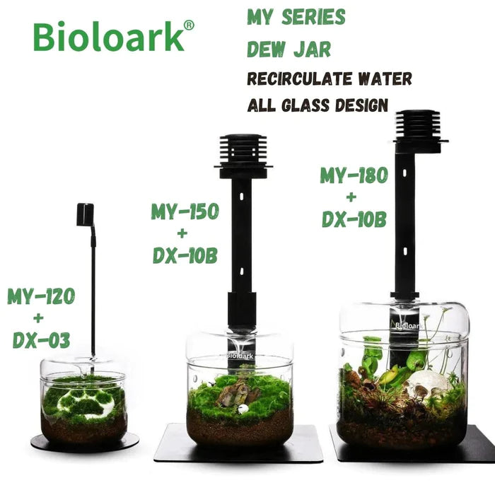 Bioloark DX-03 LED Lamp