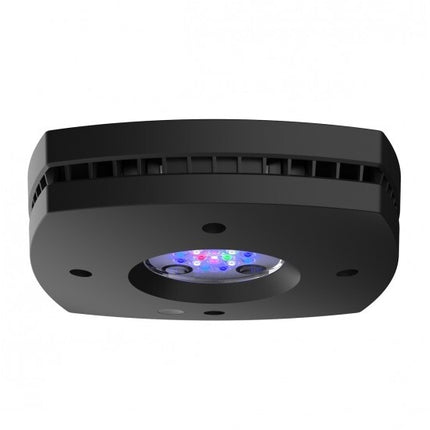 AI Prime 16 HD LED Reef Light - Black