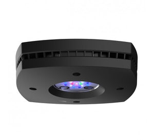 AI Prime 16 HD LED Reef Light - Black